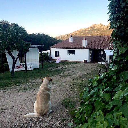 B&B La Tasgia Aggius Экстерьер фото