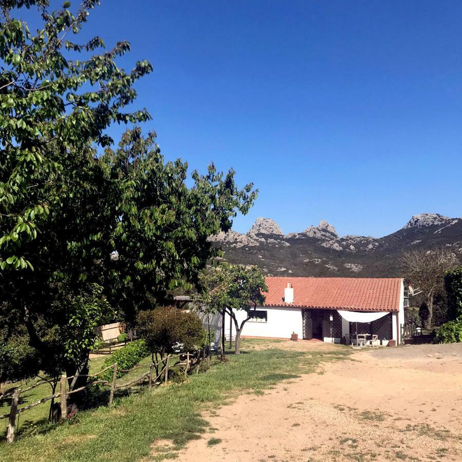 B&B La Tasgia Aggius Экстерьер фото